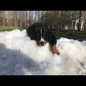 Meet your Posher, Gary